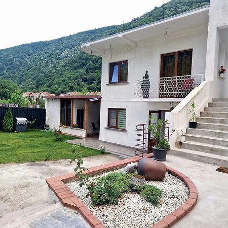 Renate House Ξενοδοχείο Băile Herculane Εξωτερικό φωτογραφία