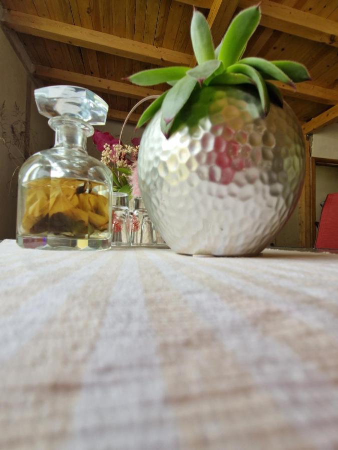 Renate House Ξενοδοχείο Băile Herculane Εξωτερικό φωτογραφία