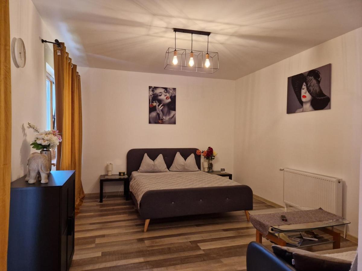Renate House Ξενοδοχείο Băile Herculane Εξωτερικό φωτογραφία
