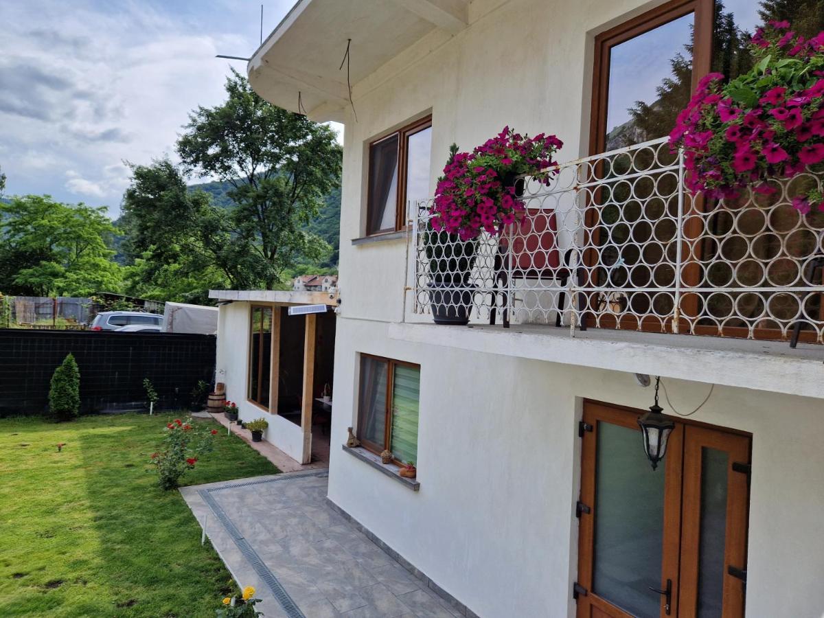 Renate House Ξενοδοχείο Băile Herculane Εξωτερικό φωτογραφία