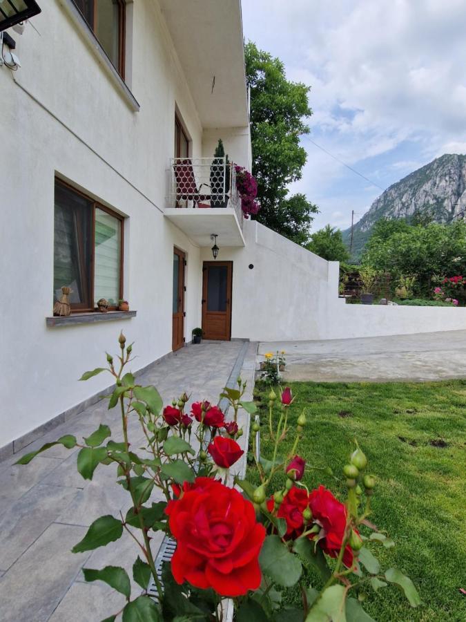 Renate House Ξενοδοχείο Băile Herculane Εξωτερικό φωτογραφία
